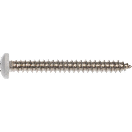 Hillman White Phillips Pan-Head Stainless Sheet Metal Screws (#8 x 3 in.) - 10 pc