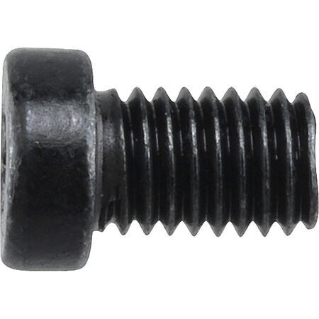 Hillman Blued Star Fillister-Head Gun Screws (#6-48 x 1/4 in.)