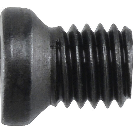 Hillman Blued Hex Weaver Oval-Head Gun Screws (#6-40 x 1/4 in.)