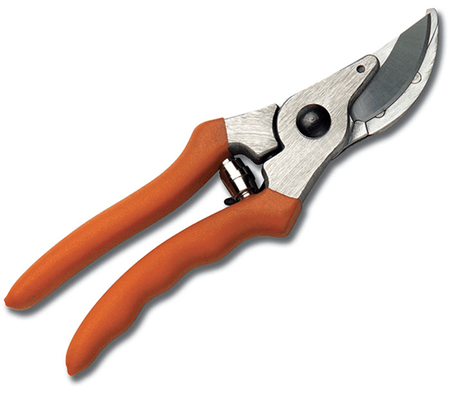 PP10 GENERAL PRUNER