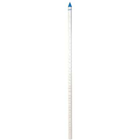 Campbell Brady PVC 1-1/4 in. Well Point