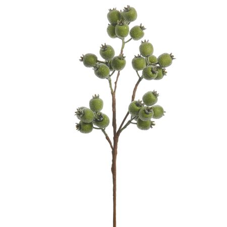 Raz 21 in. Iced Green Berry Spray