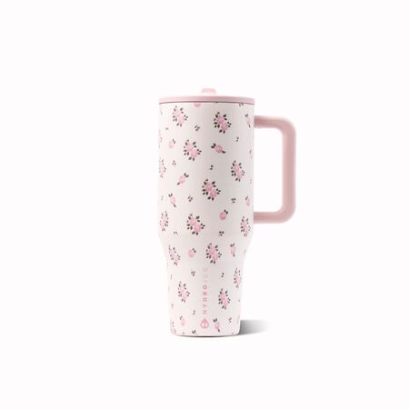 HydroJug Traveler 32 oz. WildRose