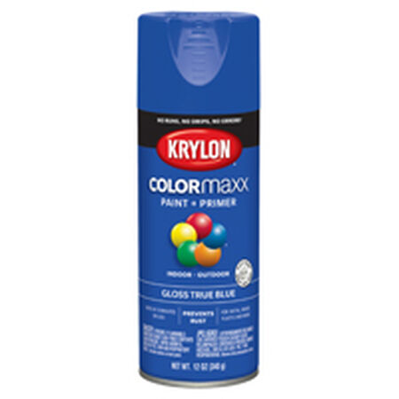 Krylon COLORmaxx K05543007 Spray Paint