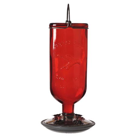 Perky-Pet Hummingbird 16 oz Glass/Metal/Plastic Antique Bottle Nectar Bird Feeder 4 ports