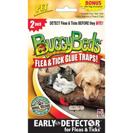 BuggyBeds Glue Trap 2 pk