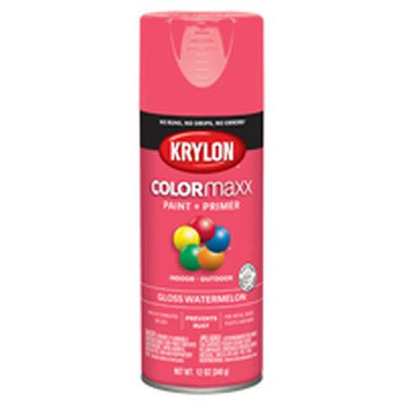Krylon COLORmaxx K05544007 Spray Paint