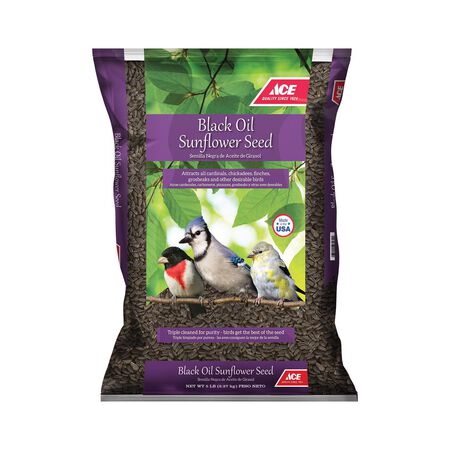 Ace Black Oil Sunflower Wild Bird Food 5 lb