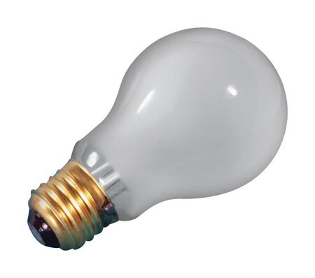 US Hardware 25 W A19 Appliance Incandescent Bulb E26 (Medium) White 1 Pack