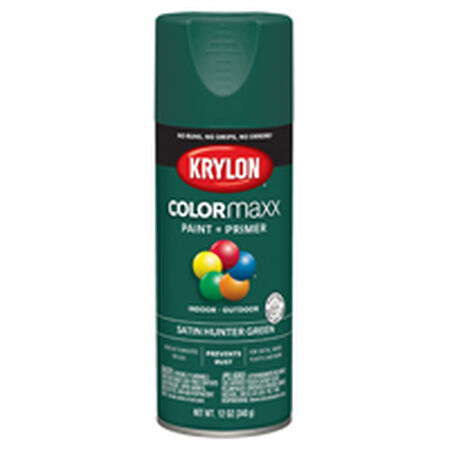 Krylon COLORmaxx K05563007 Spray Paint