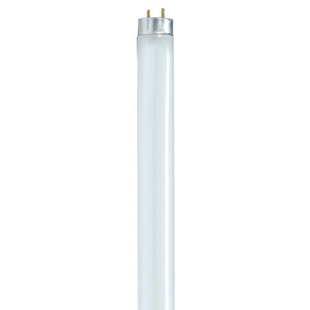 Satco 32 W T8 1 in. D X 48 in. L Fluorescent Bulb Cool White Linear 4100 K 1 pk