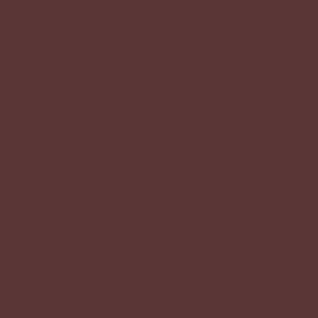 Rust-Oleum Professional Flat Red Primer Spray 15 oz
