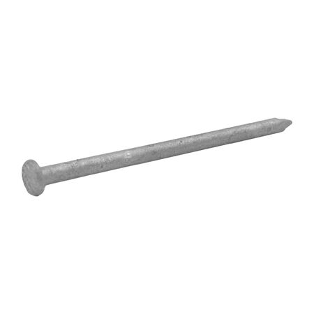 Grip-Rite 8D 2-1/2 in. Common Hot-Dipped Galvanized Steel Nail Flat Head 1 lb 90 pk