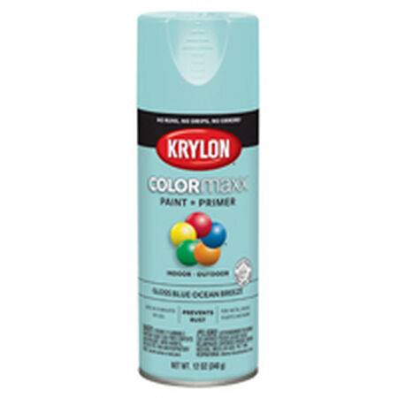 Krylon COLORmaxx K05506007 Spray Paint