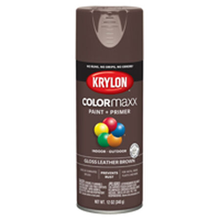 Krylon COLORmaxx K05527007 Spray Paint