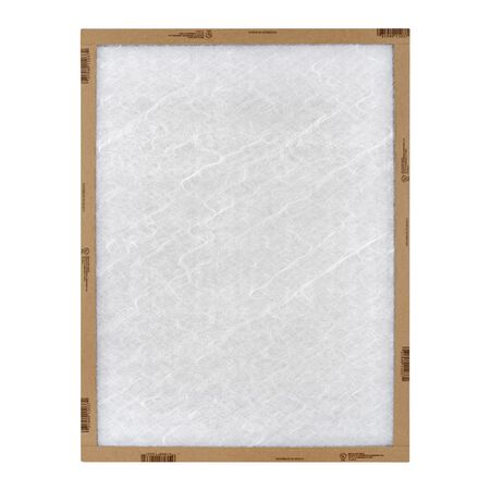 AAF Flanders EZ Flow II 20 in. W X 30 in. H X 1 in. D Fiberglass 1 MERV Air Filter 1 pk