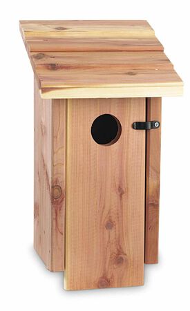 Cedar Bird House