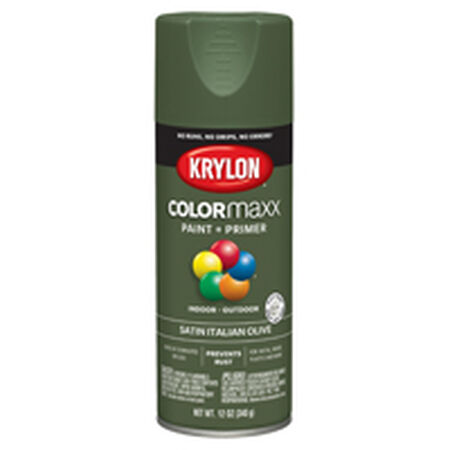 Krylon COLORmaxx K05566007 Spray Paint