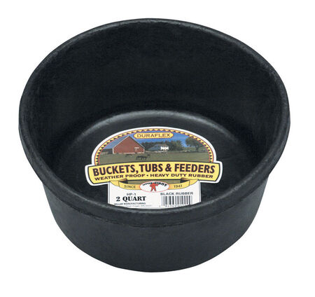 Miller 2 qt. Feed Pan For Livestock 4 in. H