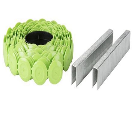 Metabo HPT 1/4 x  1in. Galvanized Staples (10,000 Pack) - 31105SHPT
