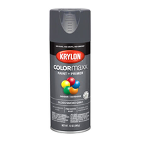 Krylon COLORmaxx K05539007 Spray Paint