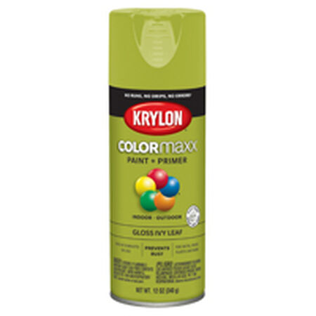 Krylon COLORmaxx K05525007 Spray Paint