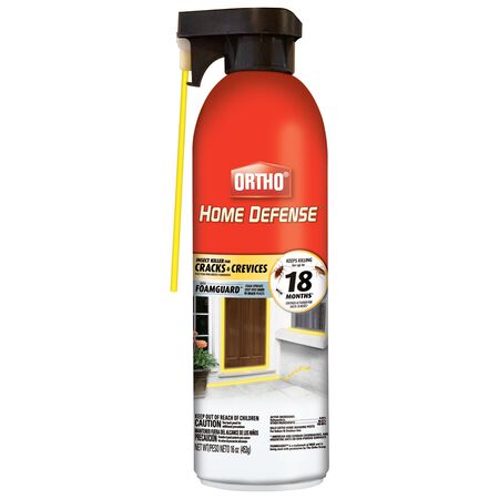 Ortho Home Defense Insect Killer Foam 16 Oz