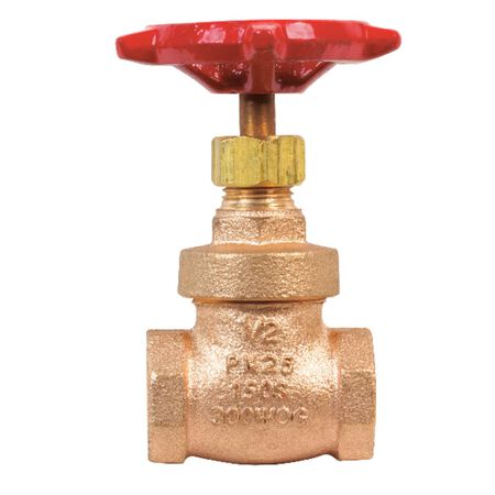 B&K ProLine 1/2 in. FIP Brass Gate Valve