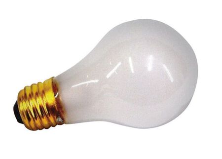 US Hardware 100 W A19 Appliance Incandescent Bulb E26 (Medium) White 1 Pack