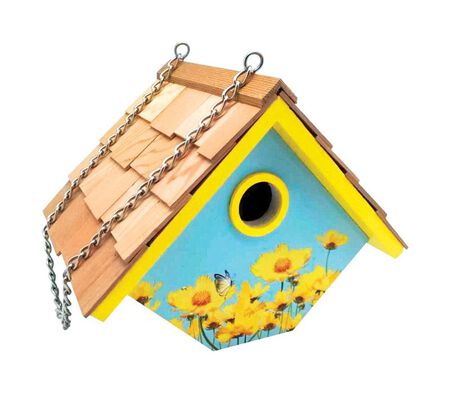 Home Bazaar 7 in. H Wood Bird House