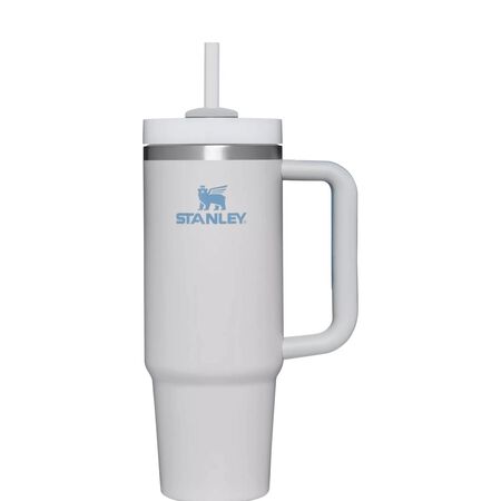 Stanley The Quencher H2.0 FlowState 30 oz Fog BPA Free Double-wall Vacuum Insulated Tumbler