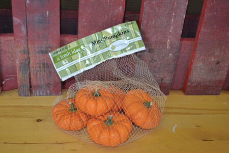 Frey Farms Frey Produce Live Pumpkin 5 pk