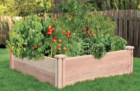 Cedar Raised Garden Bed Kit