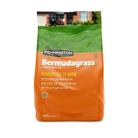 Penn ington Bermuda Grass 1 lb