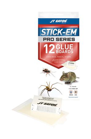 Jt Eaton Stick-Em Pro Series Small Glue Board Trap For Insects/Mice/Spiders 12 Pack