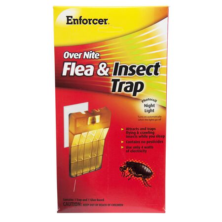 Enforcer Over Nite Glue Cat and Dog Flea and Insect Trap Permethrin