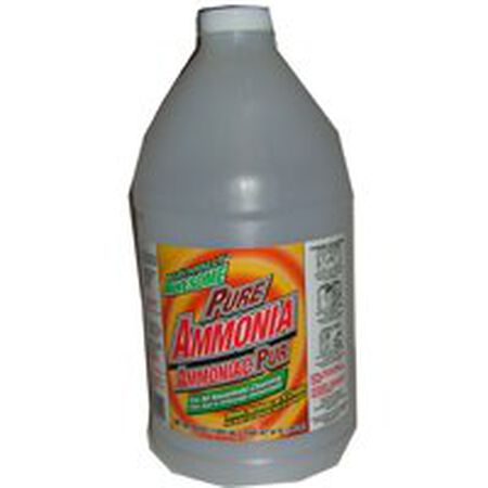 LA's TOTALLY AWESOME 241 Ammonia