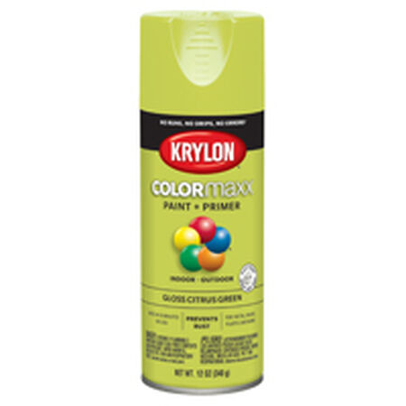 Krylon COLORmaxx K05512007 Spray Paint