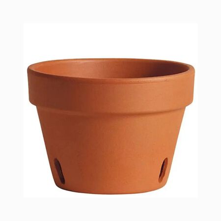 Deroma 6.7 in. Orchid Pot