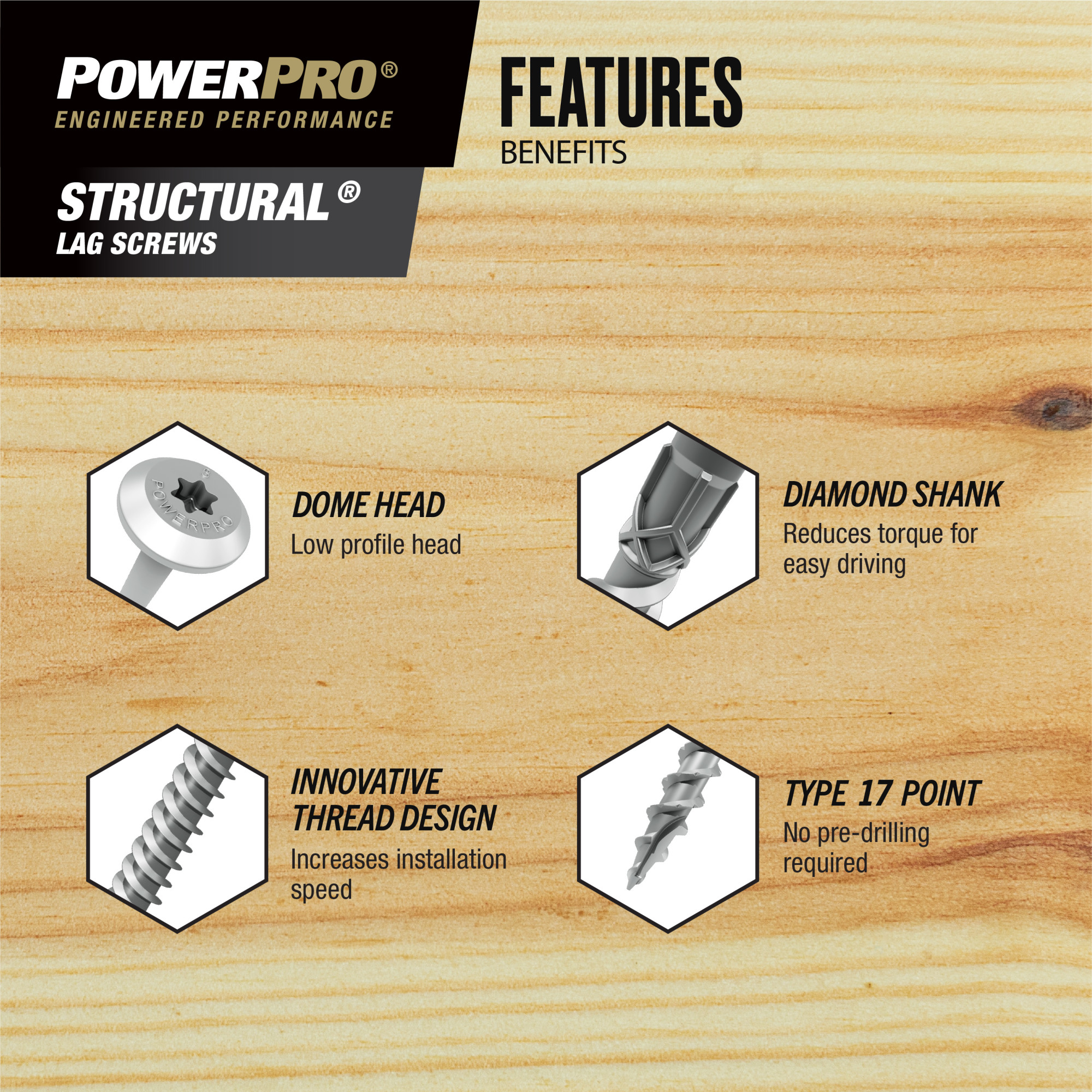 Power Pro 316SS Stainless Steel Structural Lag Screws (5/16 in. x 3 in.) - 1pc