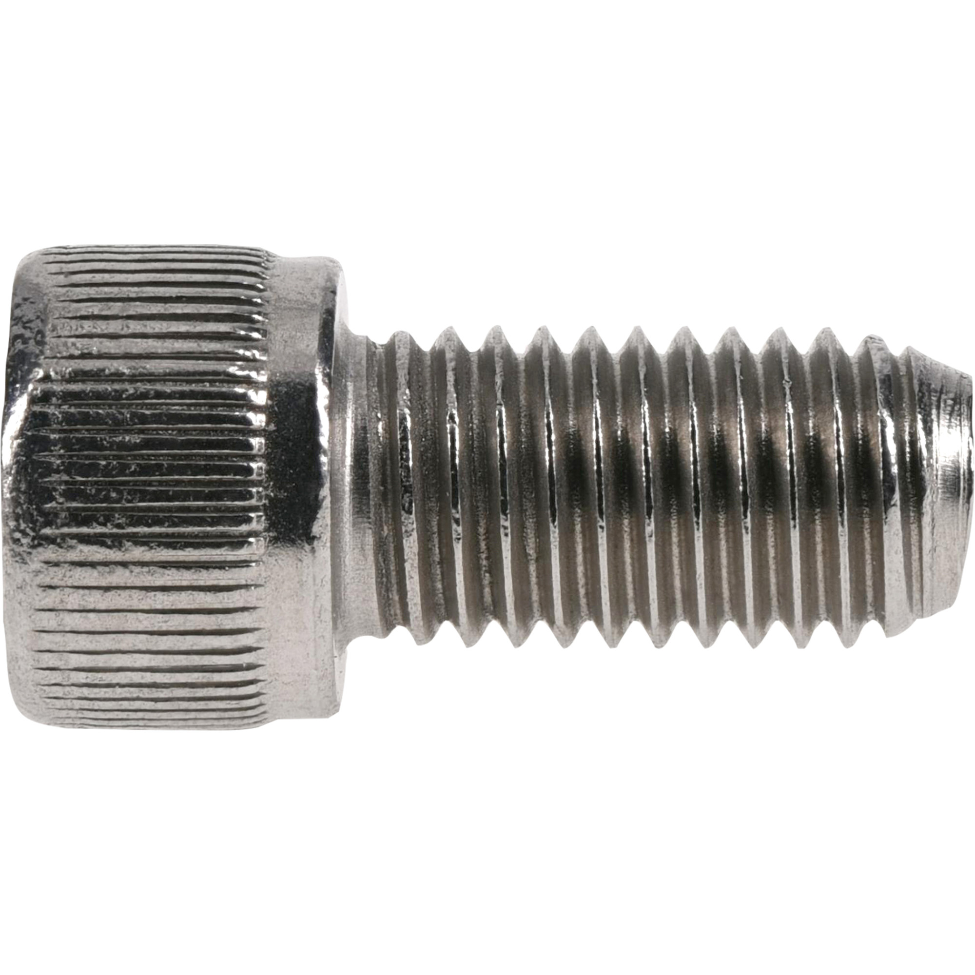 Hillman Stainless Socket Head Cap Screws (1/4 in.-28 x 1/2 in.)
