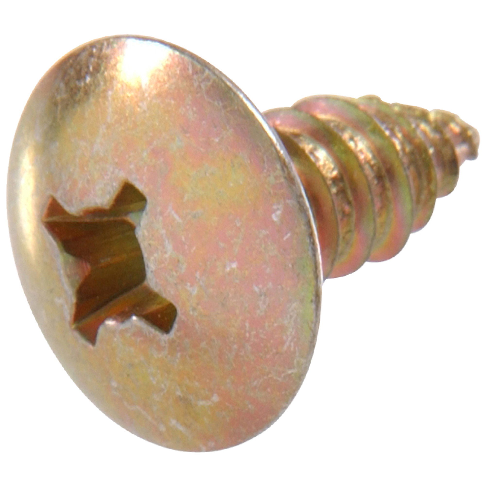 Hillman Phillips Truss License Plate Screws (M6-1.81 x 15mm) - 15 pc