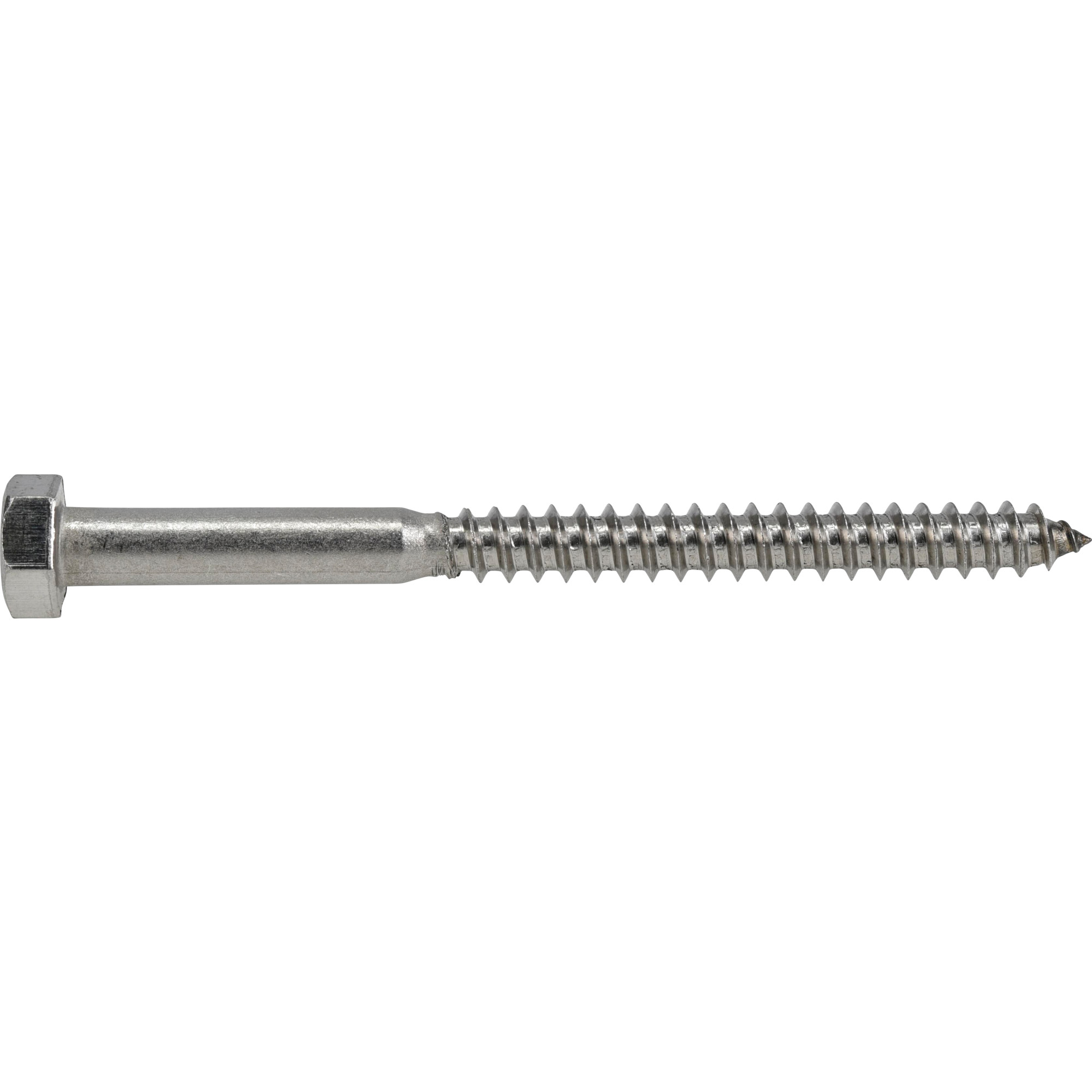 Hillman Stainless Steel Hex Lag Screw 5/16 in. x 4 in.