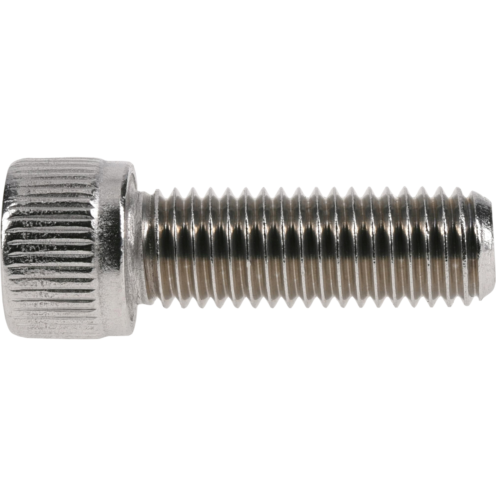 Hillman Stainless Socket Head Cap Screws (1/4 in.-28 x 3/4 in.)