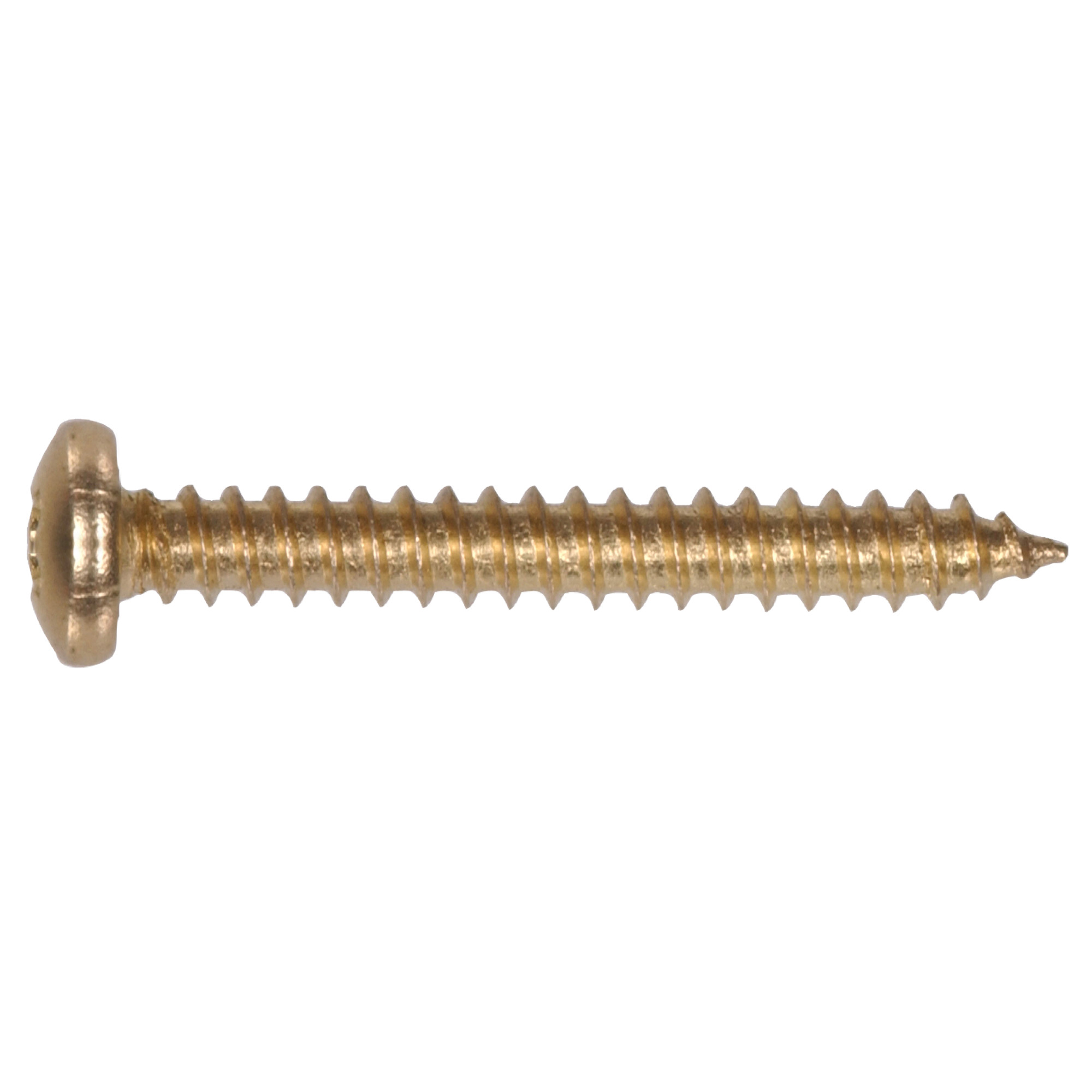 Hillman Phillips Pan-Head Brass Sheet Metal Screws (#6 x 1 in.) - 50 pc