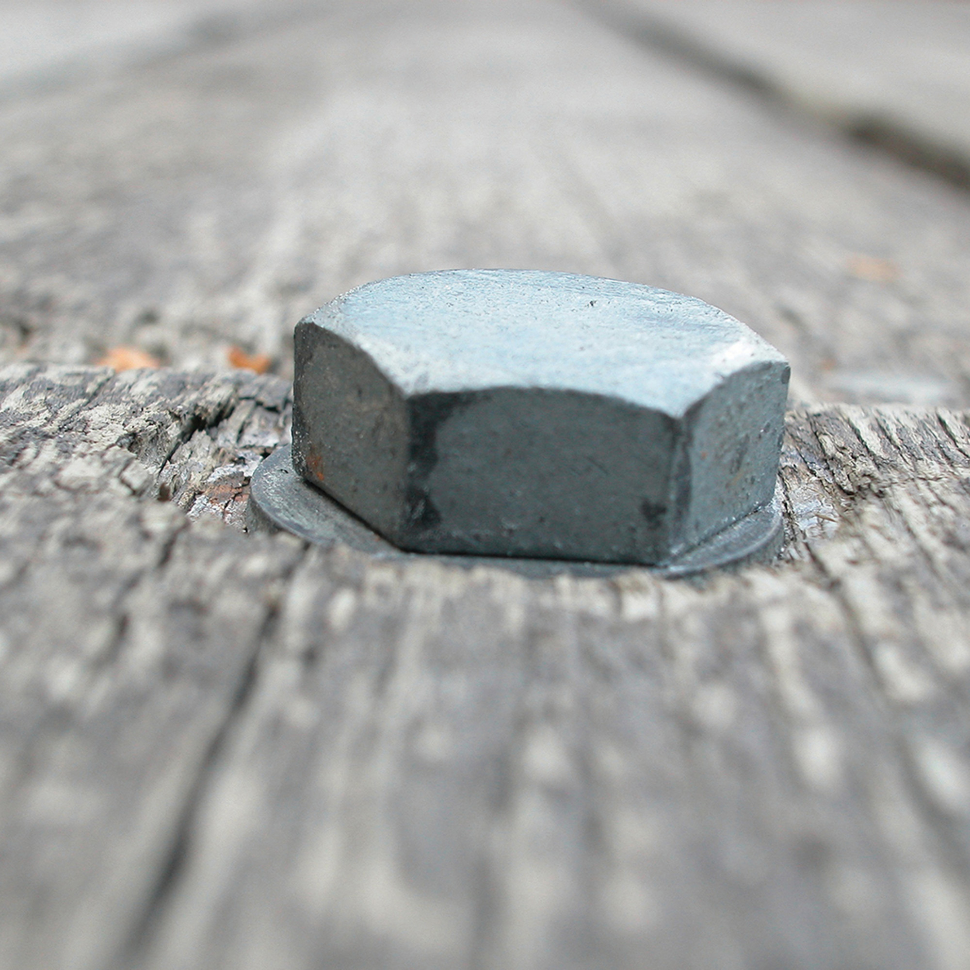 Hillman Galvanized Hex Lag Screw 1/2 in. x 3 in.