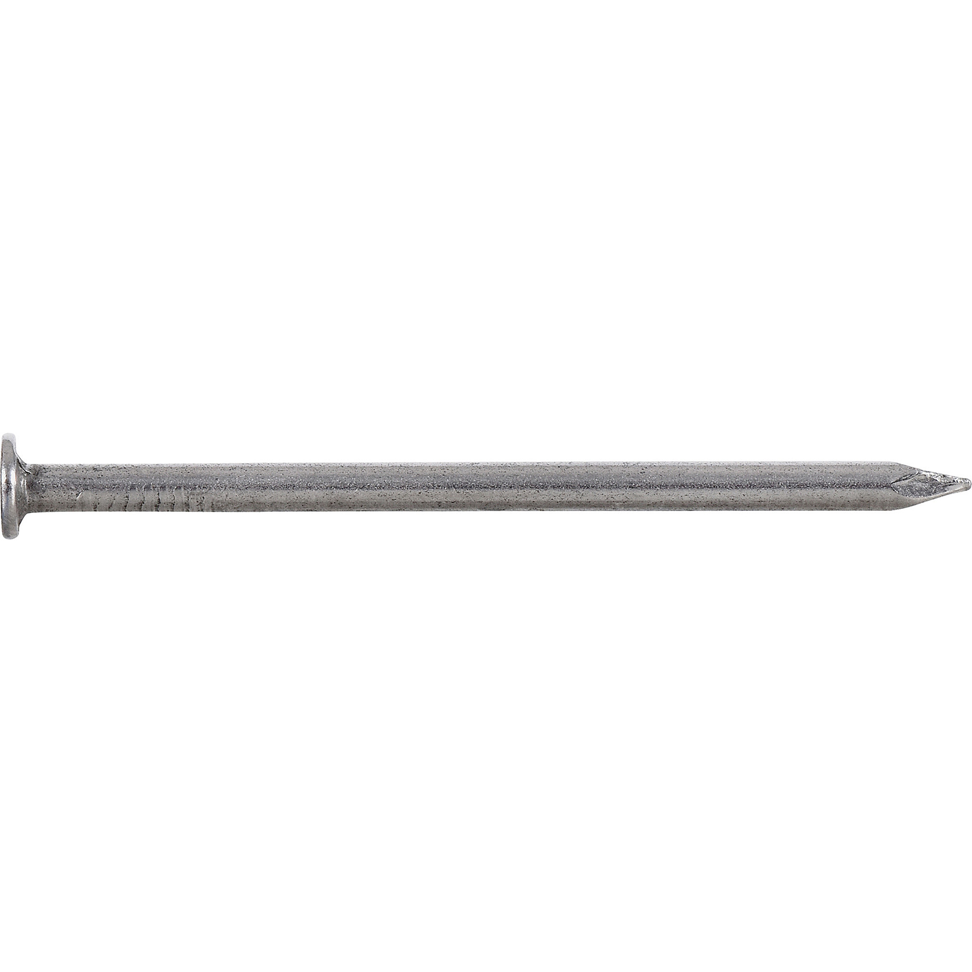 Hillman Bright Common Nails (2-1/2 in.) - 50 pc