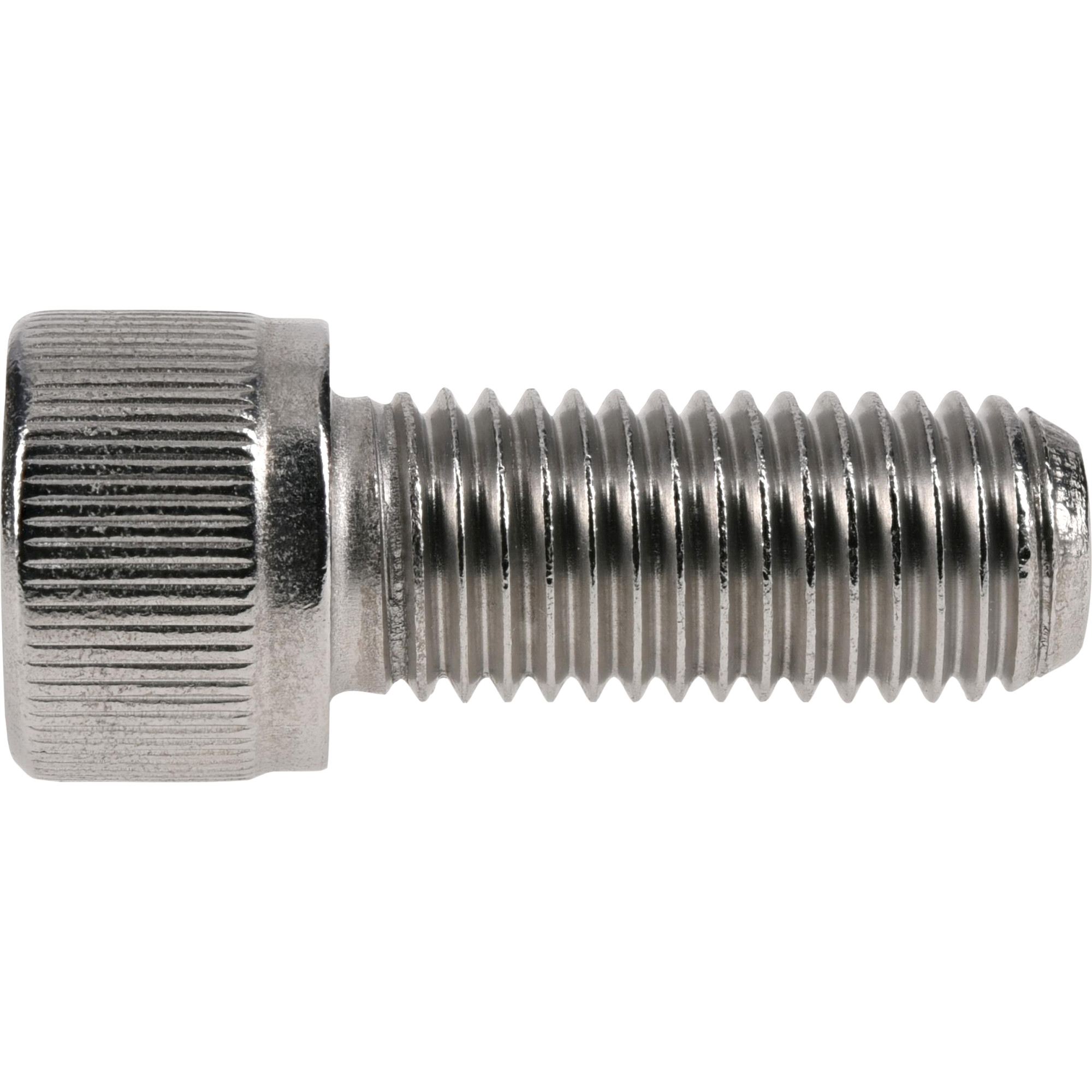 Hillman Stainless Socket Head Cap Screws (5/16 in.-24 x 3/4 in.)