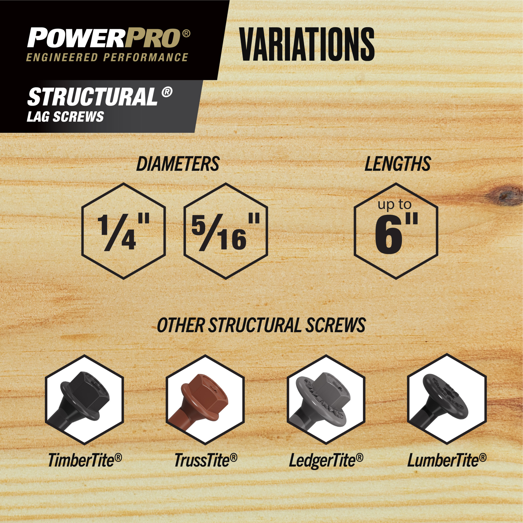 Power Pro 316SS Stainless Steel Structural Lag Screws (5/16 in. x 3 in.) - 1pc