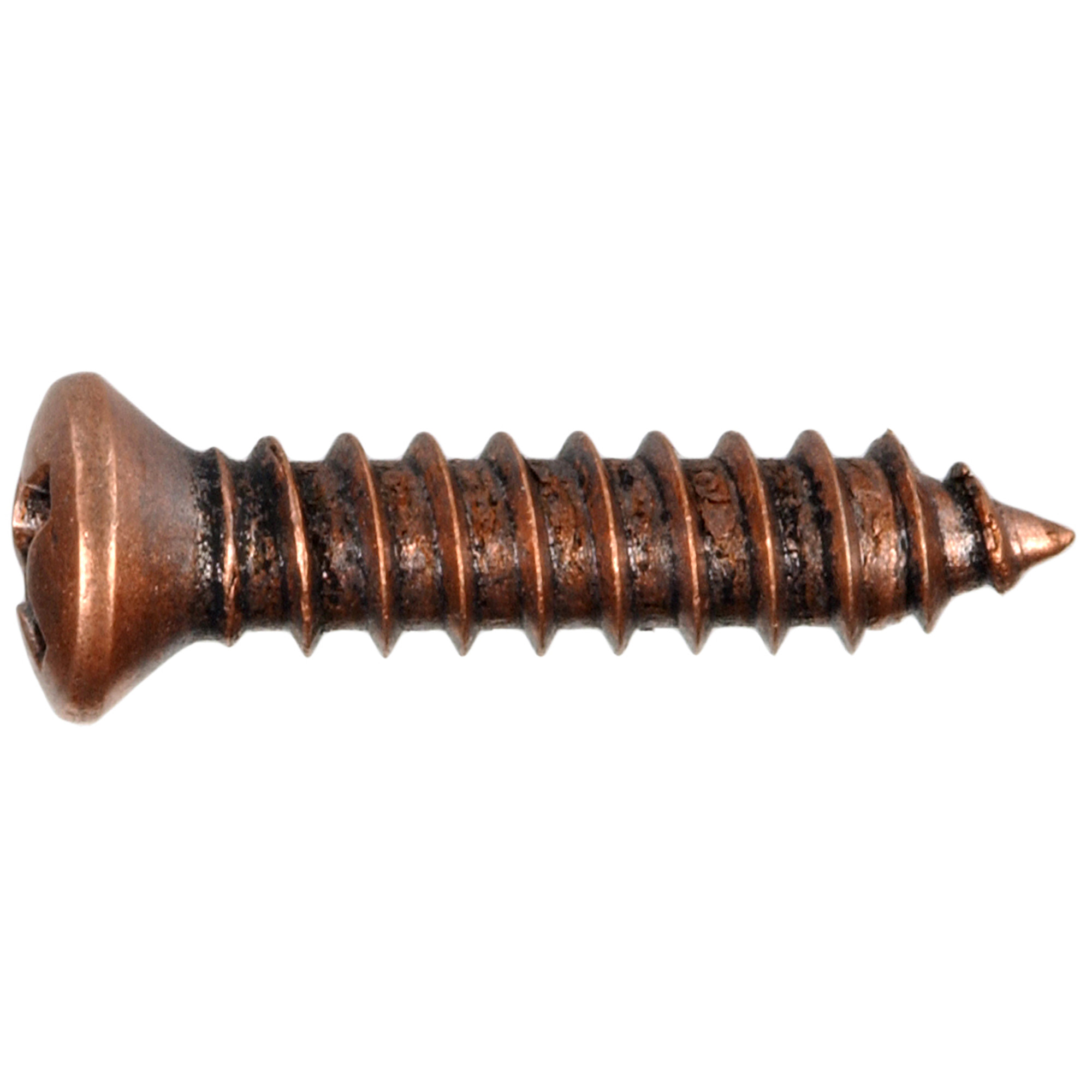 Hillman Antique Copper Oval-Head Sheet Metal Screws (#8 x 3/4 in.) - 30 pc
